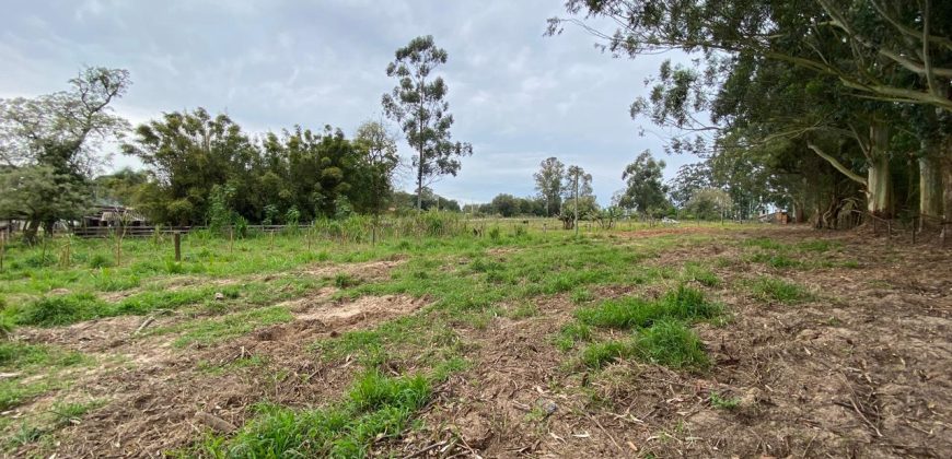 chacara de 3200 m2  estrada Rancho alegre Águas claras  Viamão