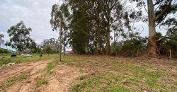 chacara de 3200 m2  estrada Rancho alegre Águas claras  Viamão