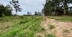 chacara de 3200 m2  estrada Rancho alegre Águas claras  Viamão