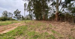 chacara de 3200 m2  estrada Rancho alegre Águas claras  Viamão