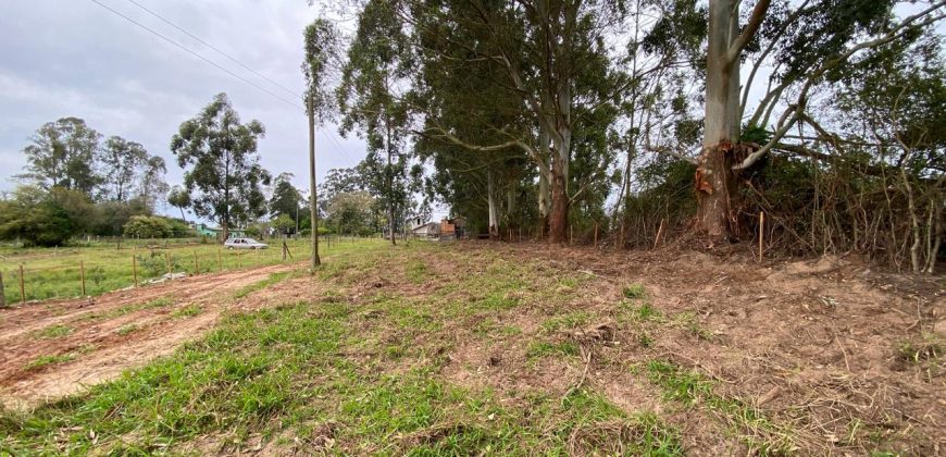 chacara de 3200 m2  estrada Rancho alegre Águas claras  Viamão