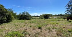 chácara  medindo 5536 m2     2km da rs 040