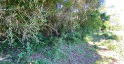 chácara  medindo 5536 m2     2km da rs 040