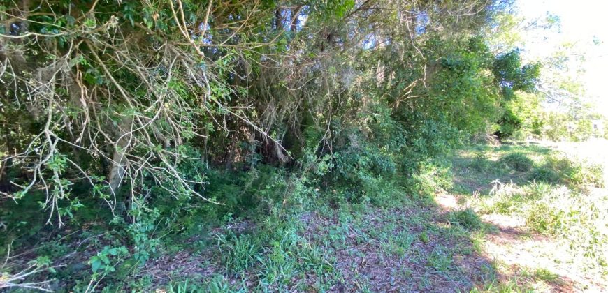 chácara  medindo 5536 m2     2km da rs 040