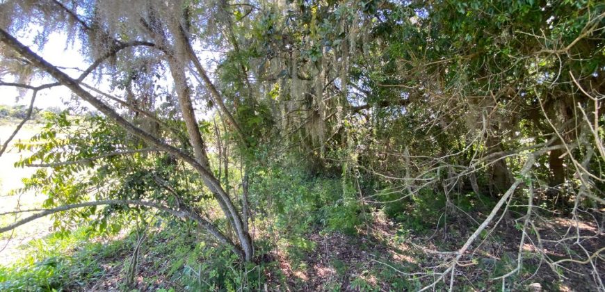 chácara  medindo 5536 m2     2km da rs 040