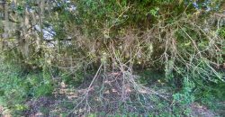 chácara  medindo 5536 m2     2km da rs 040