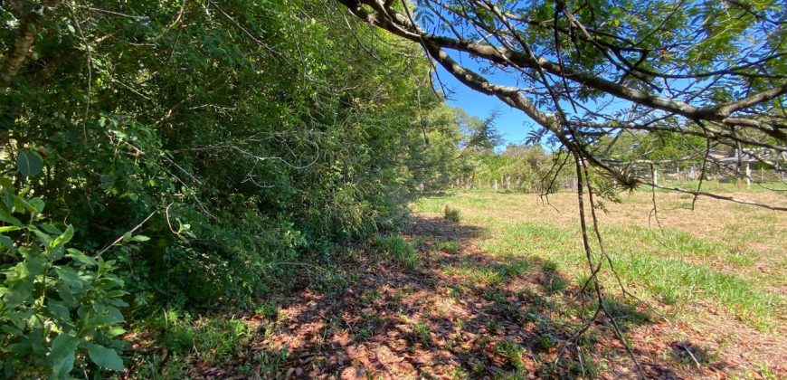 chácara  medindo 5536 m2     2km da rs 040