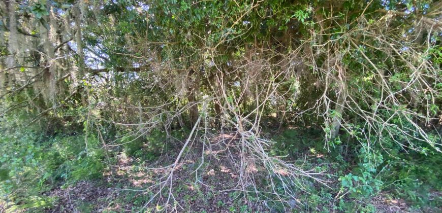 chácara  medindo 5536 m2     2km da rs 040