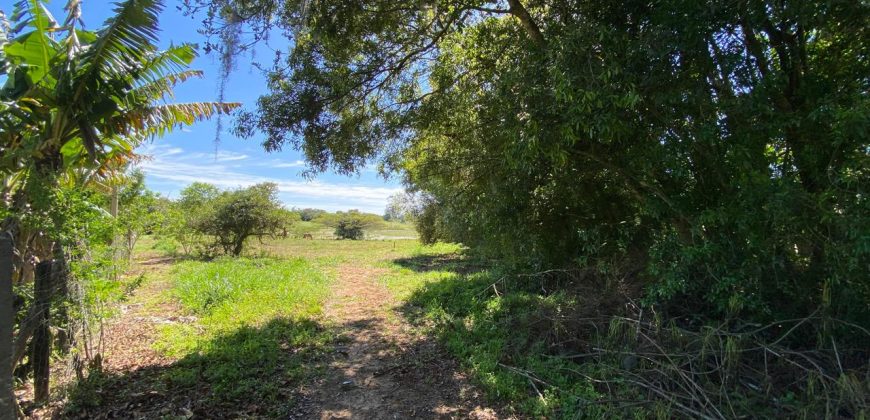 chácara  medindo 5536 m2     2km da rs 040