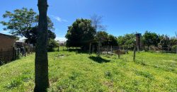 terreno parada 96 Águas Claras Viamão