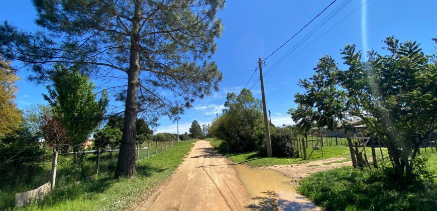 terreno parada 96 Águas Claras Viamão