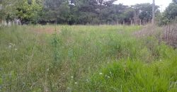 terreno comercial 700m², escriturado, confira