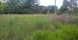 terreno comercial 700m², escriturado, confira