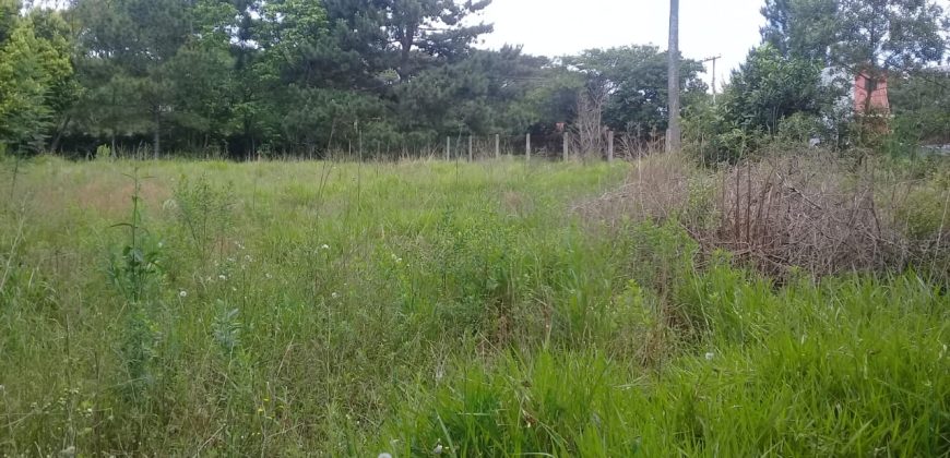 terreno comercial 700m², escriturado, confira