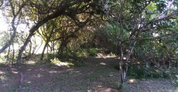 casa condomínio rancho alegre feliz