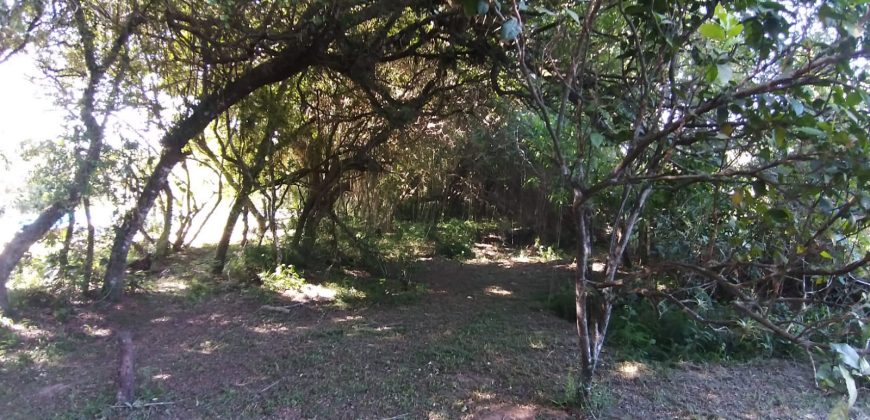 casa condomínio rancho alegre feliz