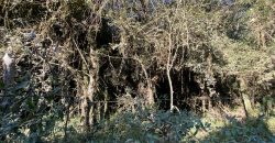 1,2   hectares escriturado   Águas claras  Viamão