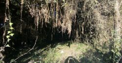 1,2   hectares escriturado   Águas claras  Viamão