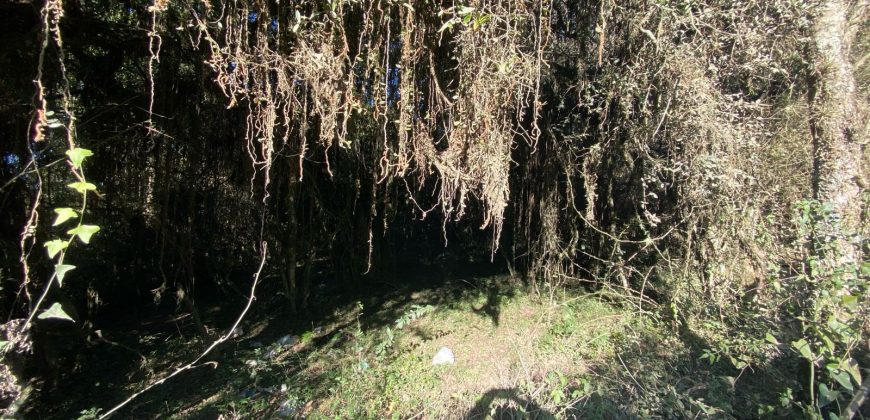 1,2   hectares escriturado   Águas claras  Viamão