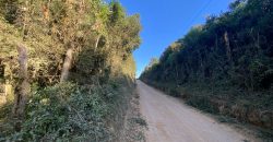 1,2   hectares escriturado   Águas claras  Viamão
