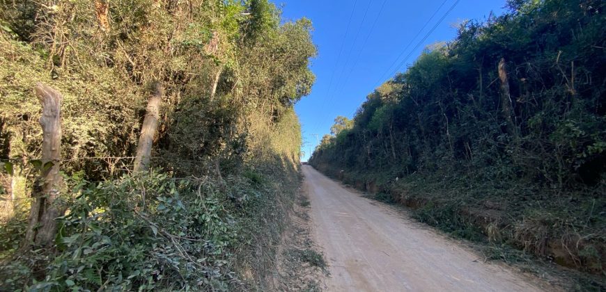 1,2   hectares escriturado   Águas claras  Viamão